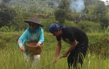 Kampung Cigadung Jadi Jadi Daya Tarik Lain di Tengah Kota Bandung, Bisa Belajar Membatik sampai Menikmati Indahnya Curug Jernih