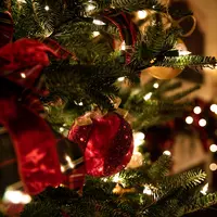 Ilustrasi Natal. Foto: Unsplash/Tessa Rampersad.