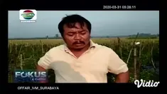 Petani cabai merah besar di Desa Medowo, Kabupaten Mojokerto merugi puluhan juta akibat harga yang anjlok dari Rp. 20000 menjadi Rp 6000 / kg sehingga tidak mencukupi untuk menutupi biaya tanam dan perawatan. Kondisi petani juga terpuruk karena seran...