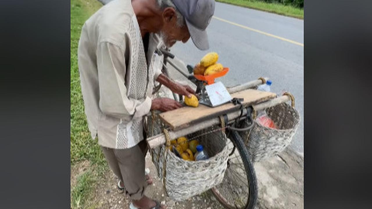 Sosok Kakek Penjual Mangga Keliling dengan Sepeda di Aceh ini Ternyata Keturunan Nabi Muhammad SAW