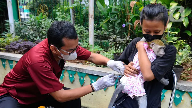 Vaksin Rabies Gratis untuk Hewan Peliharaan di Jakarta