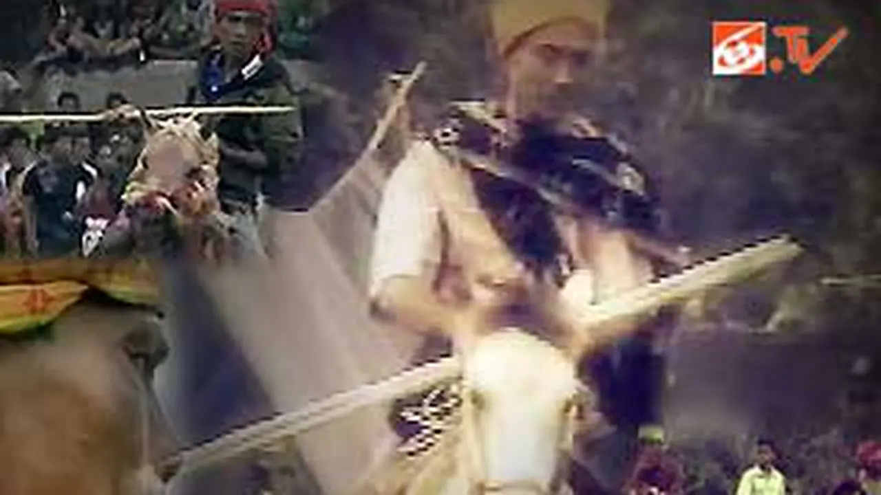 110403potret.jpg