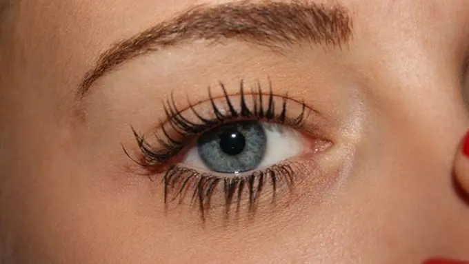 Copyright: pixabay.com/heikelr