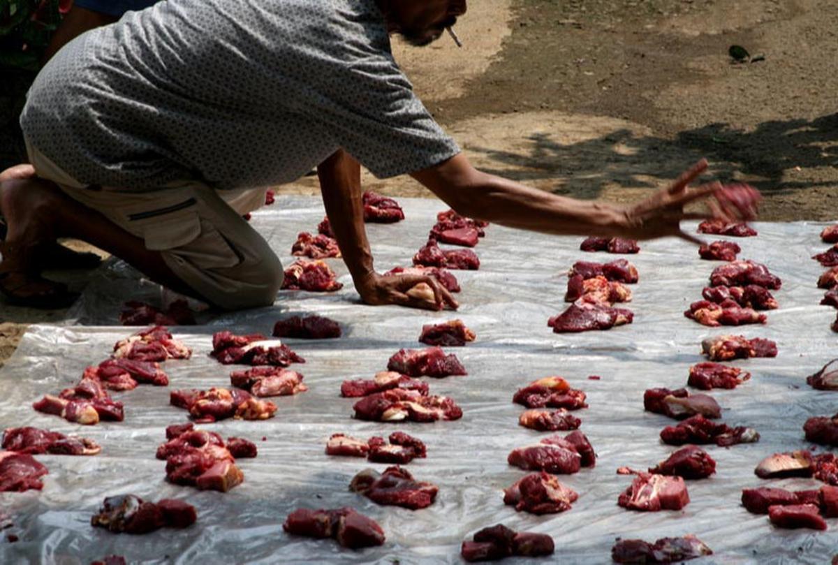 Ilustrasi Daging Kurban
