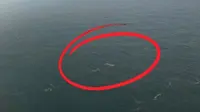 Tim SAR Gabungan Pastikan Informasi Video Drone Mirip Kapal Terbalik, Ini Hasilnya