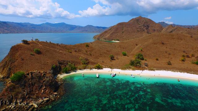 9900 Foto Penampakan Di Dasar Laut HD