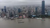 Kota Shanghai dilihat dari puncak Oriental Pearl TV Tower. (Liquid/Raetedy Refanatha)