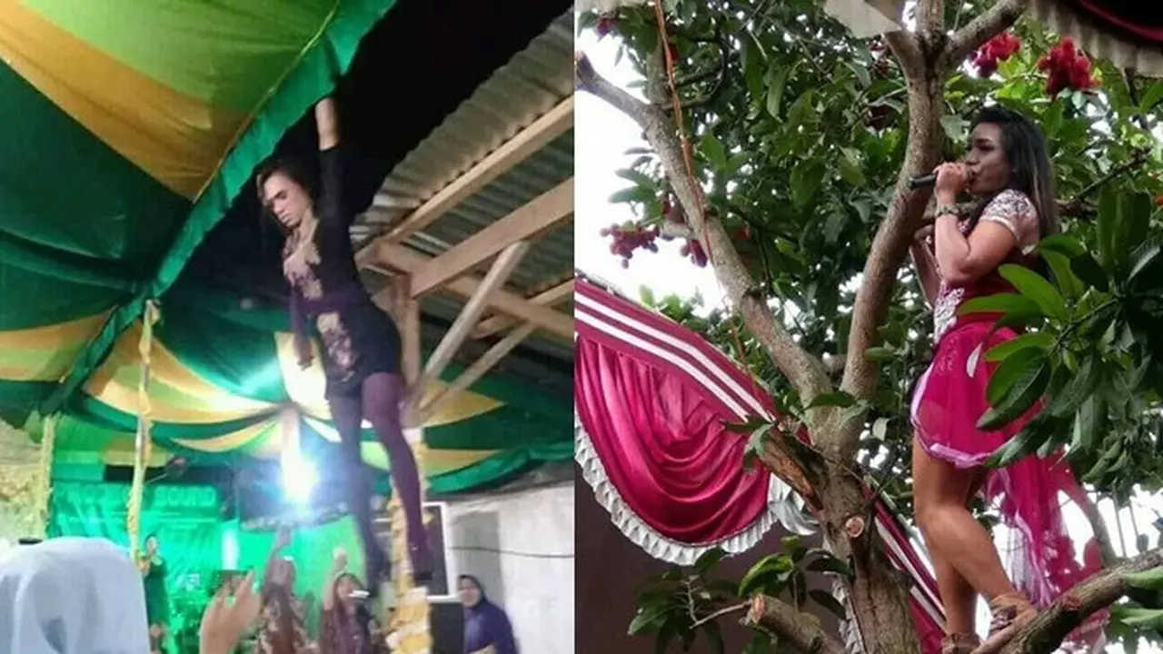 7 Aksi Biduan saat Manggung, Ada yang Panjat Pohon Hingga Salto di Atap
