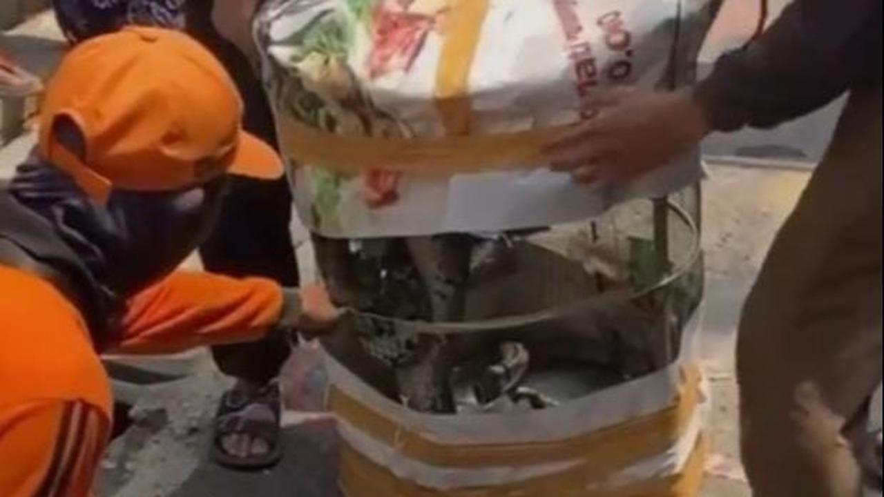 Berbagai upaya telah dilakukan oleh warga dan petugas Pemadam Kebakaran (Damkar) Jakarta Timur dievakuasi, namun seringkali mereka menghadapi kendala dari pemilik rumah.<br>