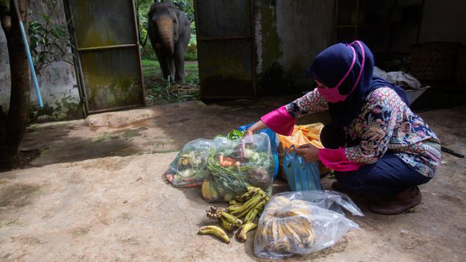 Dokter hewan Yona Dumaica menyiapkan makanan sumbangan untuk satu-satunya gajah di Kebun Binatang Medan, 30 April 2020. Sumbangan buah-buahan, sayuran dan daging datang setiap hari setelah manajemen kebun binatang meminta bantuan pihak luar untuk mengatasi ancaman kelaparan satwa (AP/Binsar Bakkara)