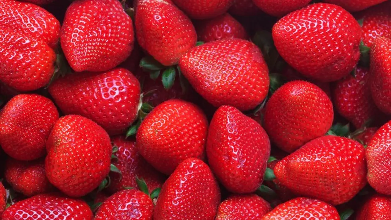Gambar Ilustrasi Buah Stroberi