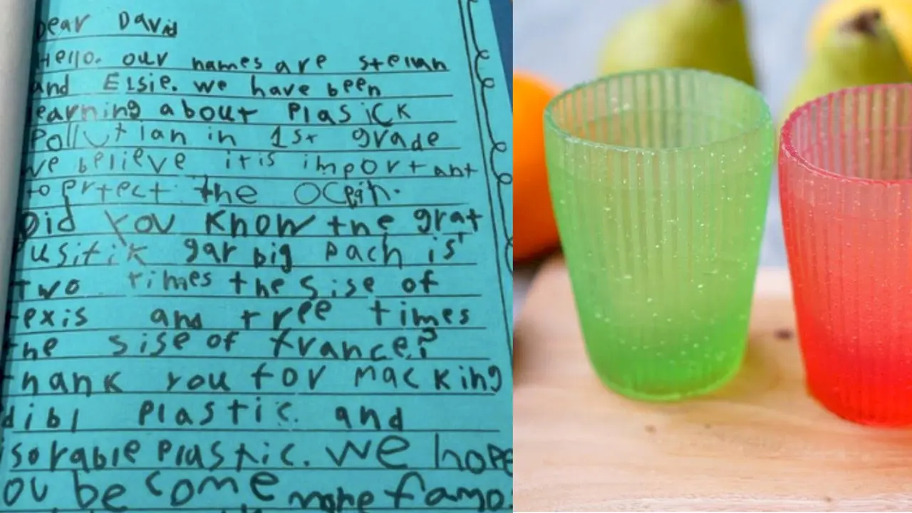 Surat anak Zooey Deschanel
