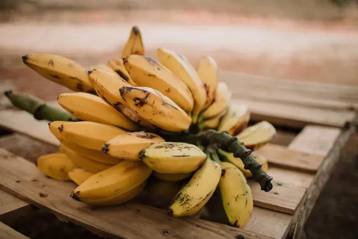 Sering Dianggap Sehat, Minum Jus Buah Ternyata Bisa Picu Gula Darah Naik