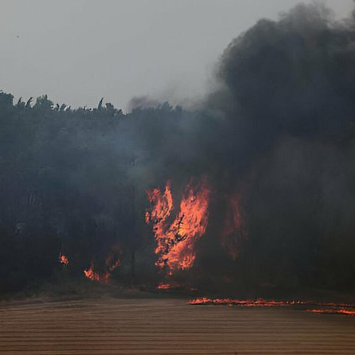 Dua Negara Ini Tolak Kirim Pesawat Pemadam Api ke Israel