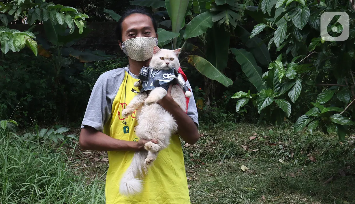 Fredi Lugina Priadi (39) berpose bersama kucingnya yang mengenakan kostum super hero di rumah industri di Desa Jampang, Kabupaten Bogor, Selasa (8/12/2020). Fredi merancang aneka kostum unik untuk kucing dengan harga yang berkisar dari Rp38 ribu hingga Rp1,5 juta. (Liputan6.com/Herman Zakharia)