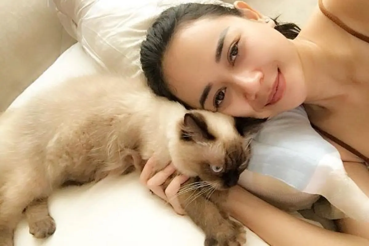 [Bintang] Aura Kasih