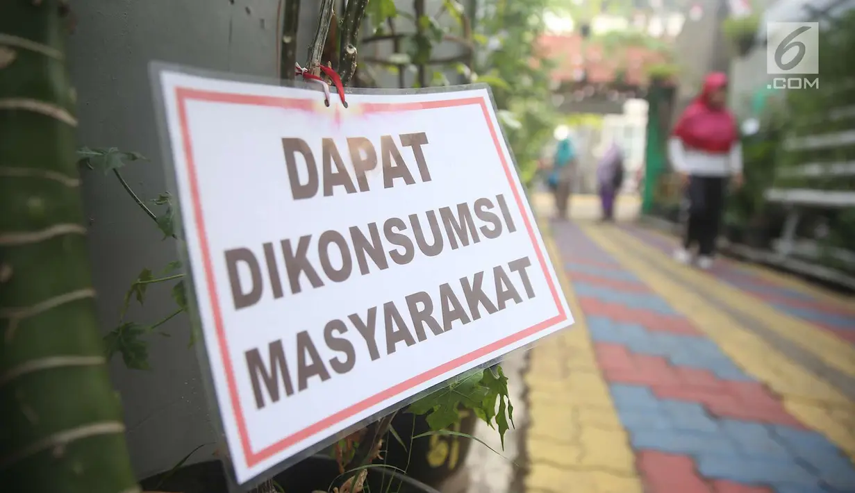 Warga melintas di salah satu gang kampung hijau di kawasan Malakasari, Jakarta, Sabtu (15/9). Tingginya kesadaran masyarakat akan pentingnya tumbuhan membuat kawasan tersebut terlihat asri dan dipenuhi berbagai tanaman. (Liputan6.com/Immanuel Antonius)
