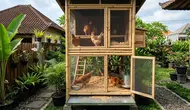 Kandang Ayam Tidak Harus Kumuh, 7 Model Ini Justru Terlihat Rapi di Lahan Kecil