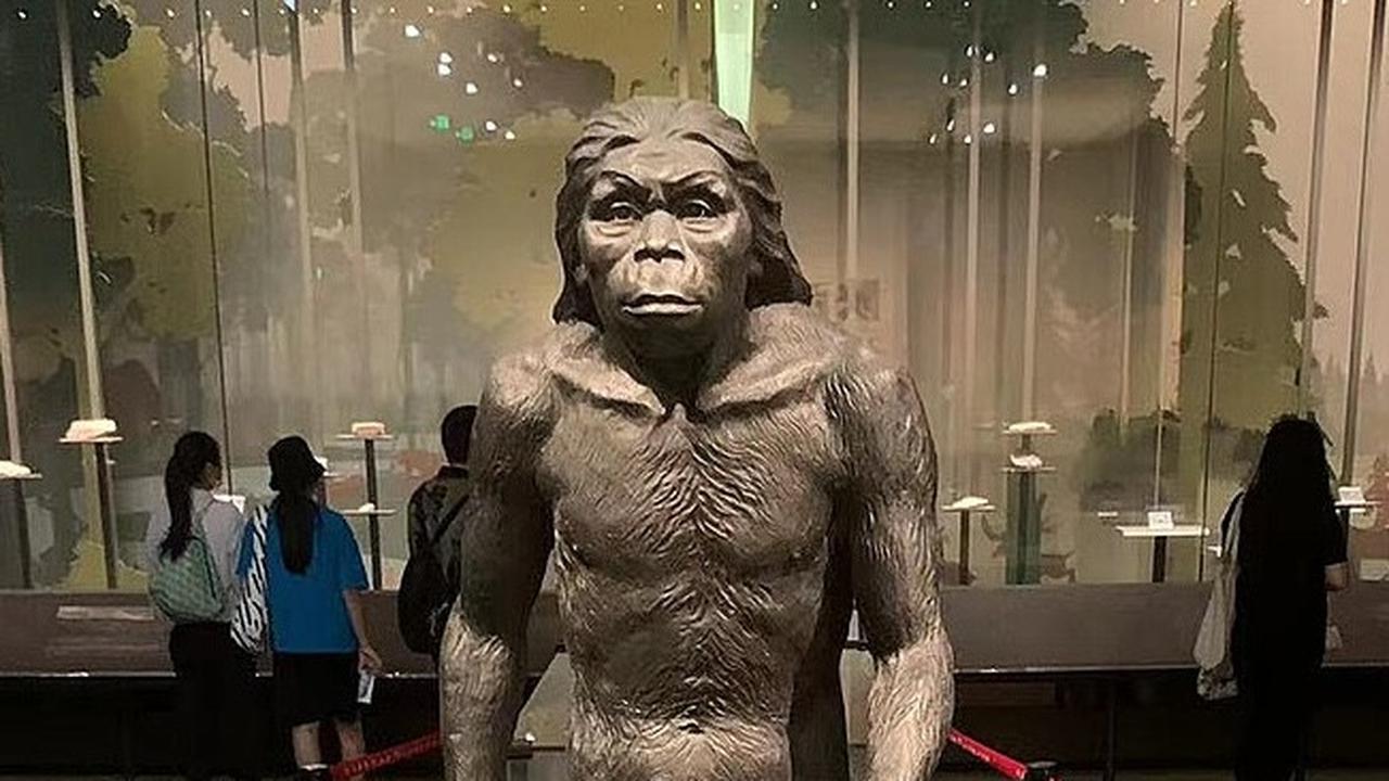 Teknik Baru Baca Sinyal Homo erectus pada Garis Keturunan Manusia dari Gigi 400 Ribu Tahun