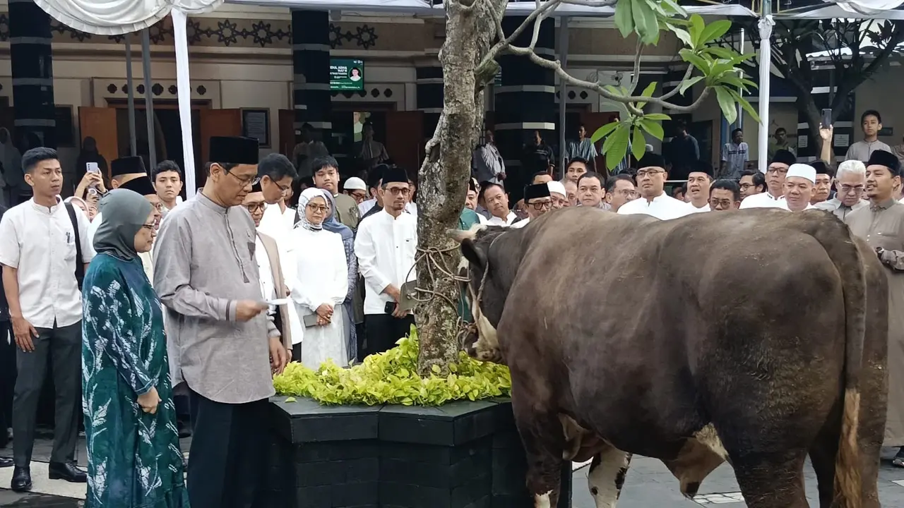 Menteri Keuangan Purbaya Yudhi Sadewa menyerahkan sapi kurban pada Idul Adha 1447 Hijriah. (Liputan6.com/Maulandy)