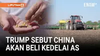 Trump Umumkan Tarif Turun dan China Akan Beli Kedelai AS