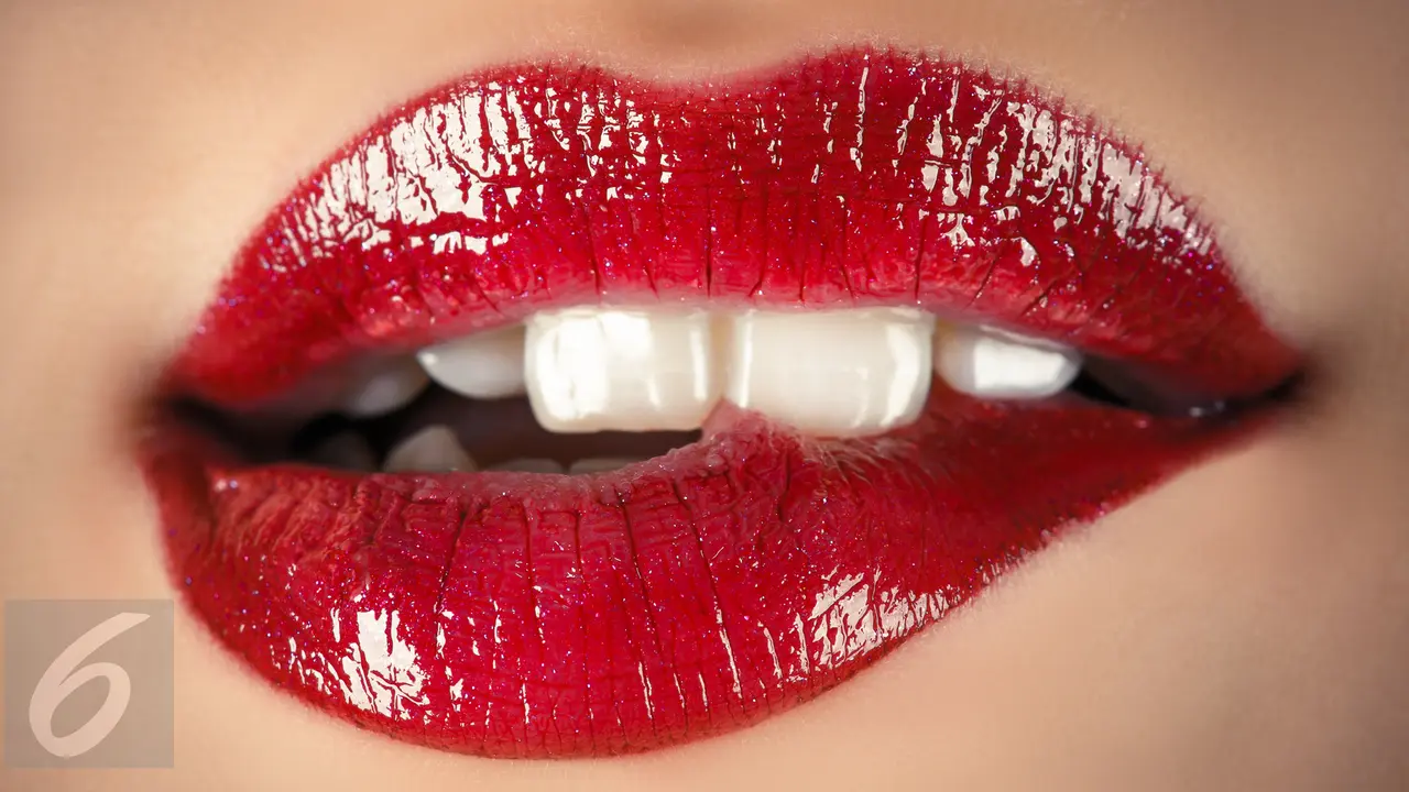 Bibir Seksi
