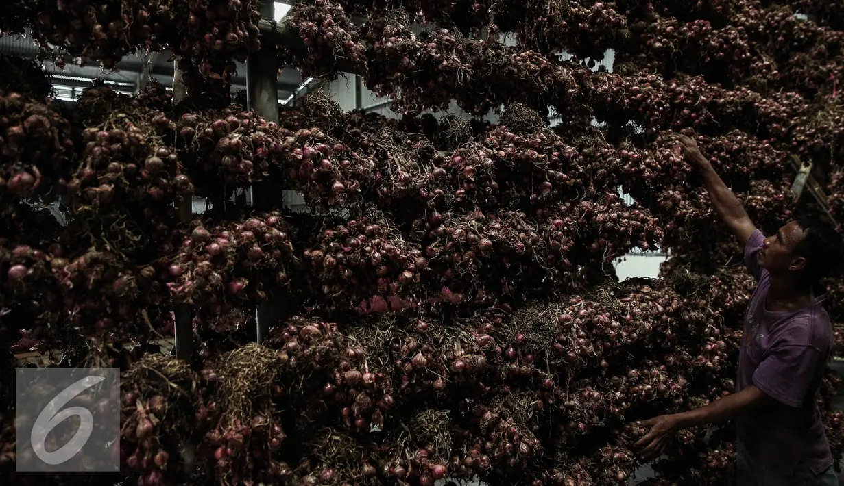 Pekerja mengeringkan bawang merah di Gudang Bulog, Jakarta, Senin (16/5). Sebanyak 23.000 ton bawang merah disiapkan Kementerian Pertanian menjelang bulan puasa dan lebaran. (Liputan6.com/Faizal Fanani)
