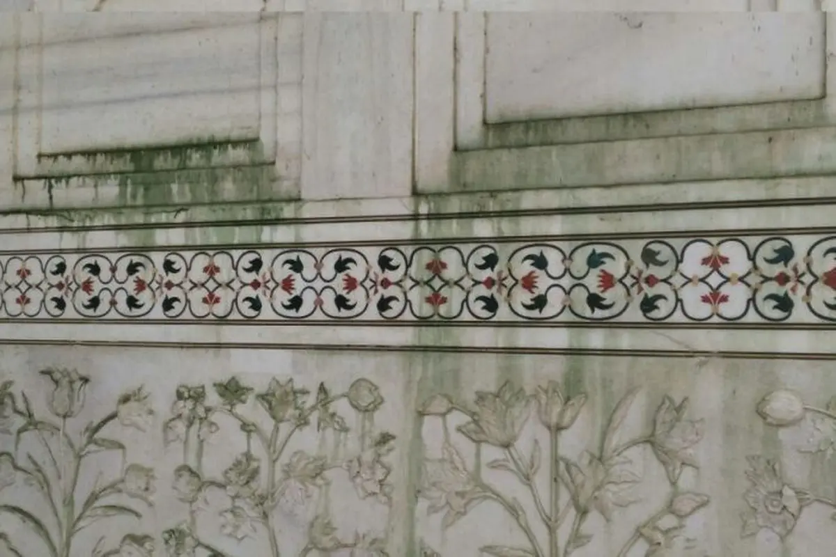 Kotoran Serangga 'Sulap' Taj Mahal Jadi Berwarna Hijau