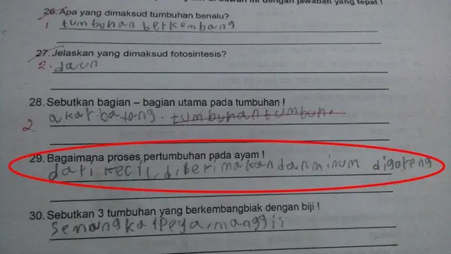 6 Jawaban Nyeleneh Siswa di Soal Ujian Sekolah Ini Bikin Ngakak