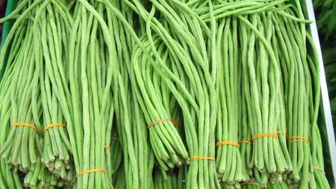 Manfaat Kacang Panjang untuk Asam Urat yang Sayang Dilewatkan
