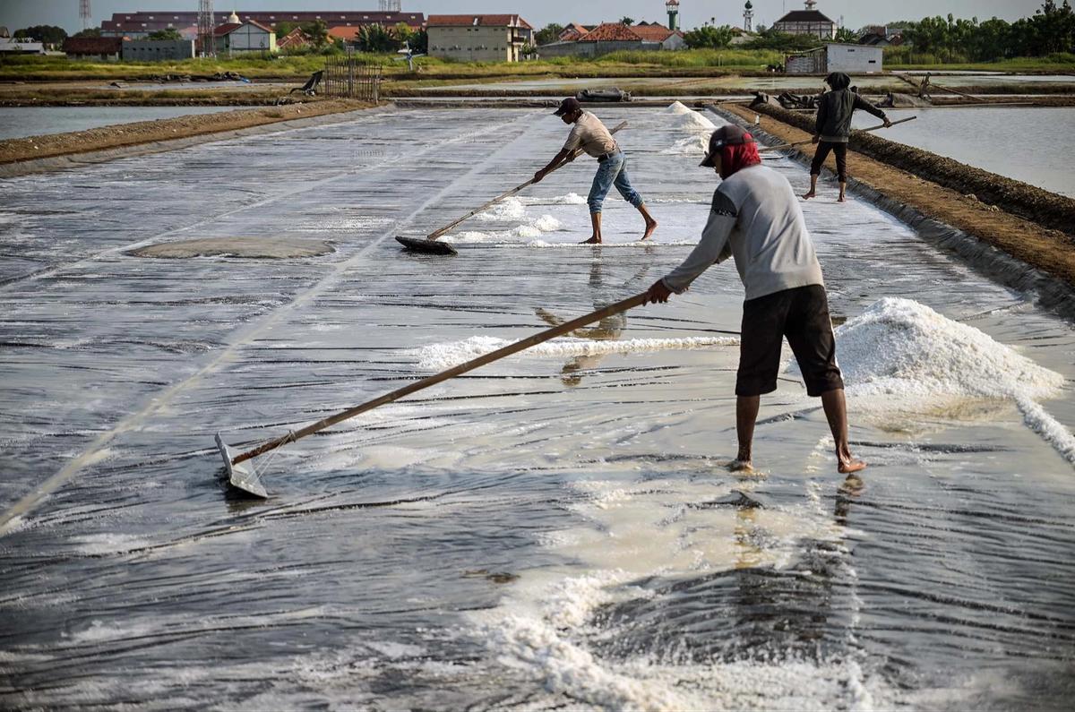 FOTO: Produksi Garam Rakyat Digenjot Kurangi Ketergantungan Impor