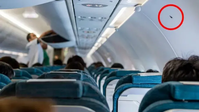 Stiker segitiga dalam kabin pesawat terbang. (Sumber Shutterstock/leungchopan)