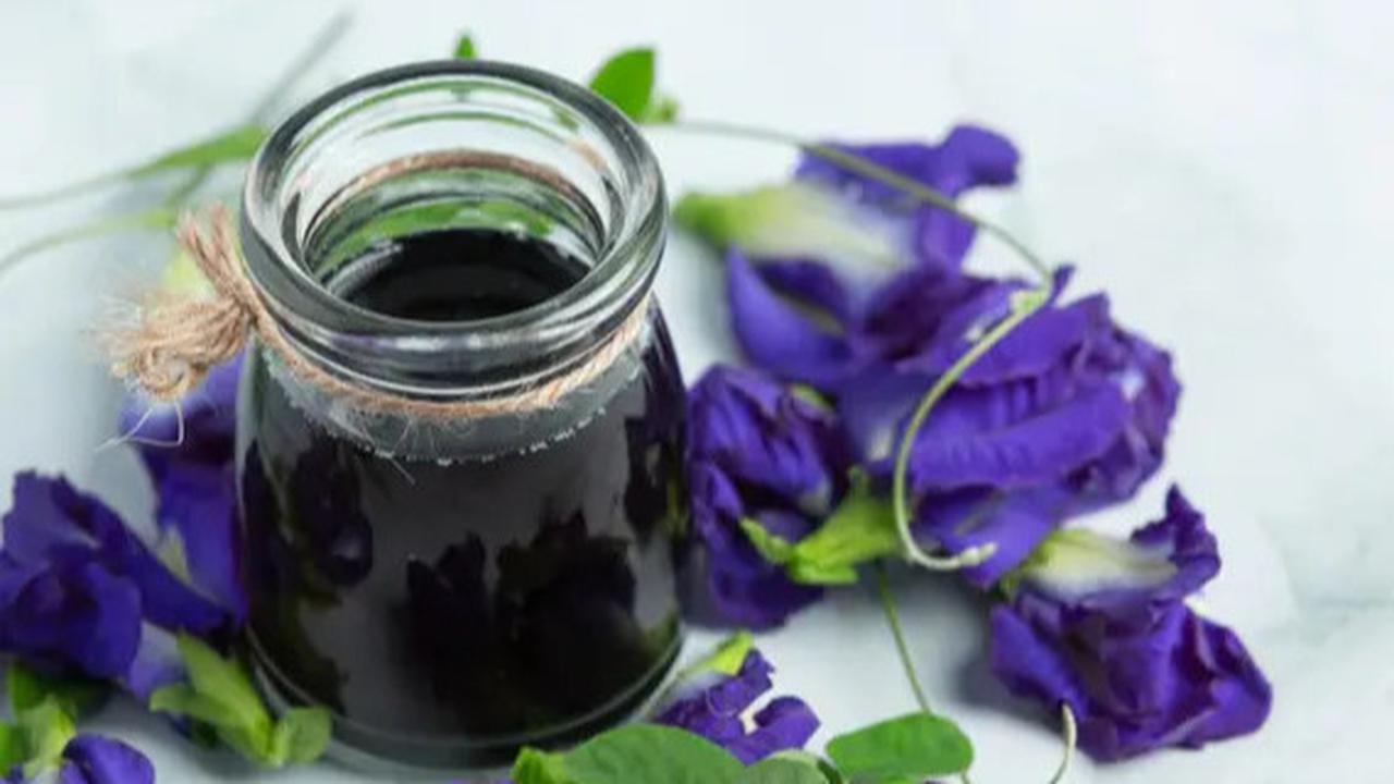 Tiga Cara Mengolah Bunga Telang Jadi Minuman yang Segar dan Sehat untuk Penderita Hipertensi dan Kolesterol Tinggi
