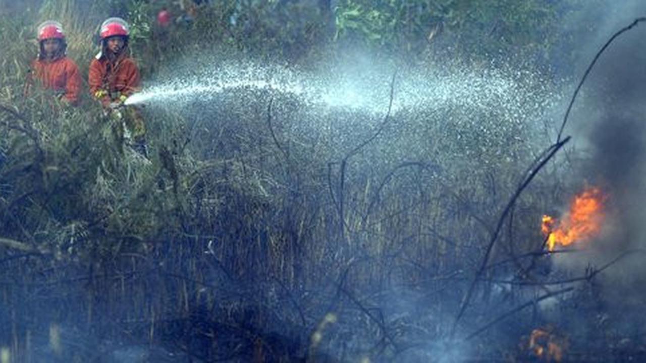 Cegah kebakaran, TNI perketat penjagaan hutan di tiga daerah