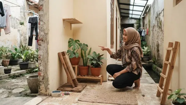 Cara Membuat Sudut Bermain Kucing di Pekarangan Rumah yang Sempit, Tetap Nyaman