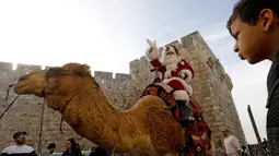 Warga melihat seorang pria mengenakan busana seperti Santa Claus mengendarai unta menyambut perayaan Natal di sepanjang tembok Ottoman Kota Tua Yerusalem (21/12). (AFP Photo/Gali Tibbon)