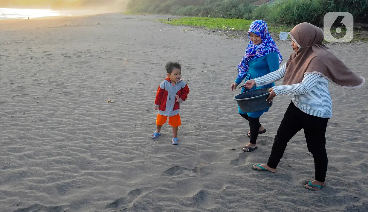 Penduduk setempat menyebutnya pasiran. Setiap tahunnya, ada 40 sarang telur penyu yang ditemukan dan diambil telurnya. Di setiap sarang biasanya terdapat 100 butir telur. (merdeka.com/Arie Basuki)