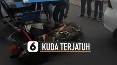 Beredar video seekor kuda delman terjatuh di tengah jalan. Diduga kuda itu mengalami kelelahan.