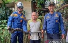 Satpol PP dan Damkar Kalsel Tingkatkan Kesiapsiagaan Penuh Hadapi Banjir di Berbagai Wilayah