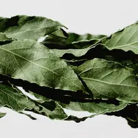 Ilustrasi Daun Salam Credit: unsplash.com/okaykat