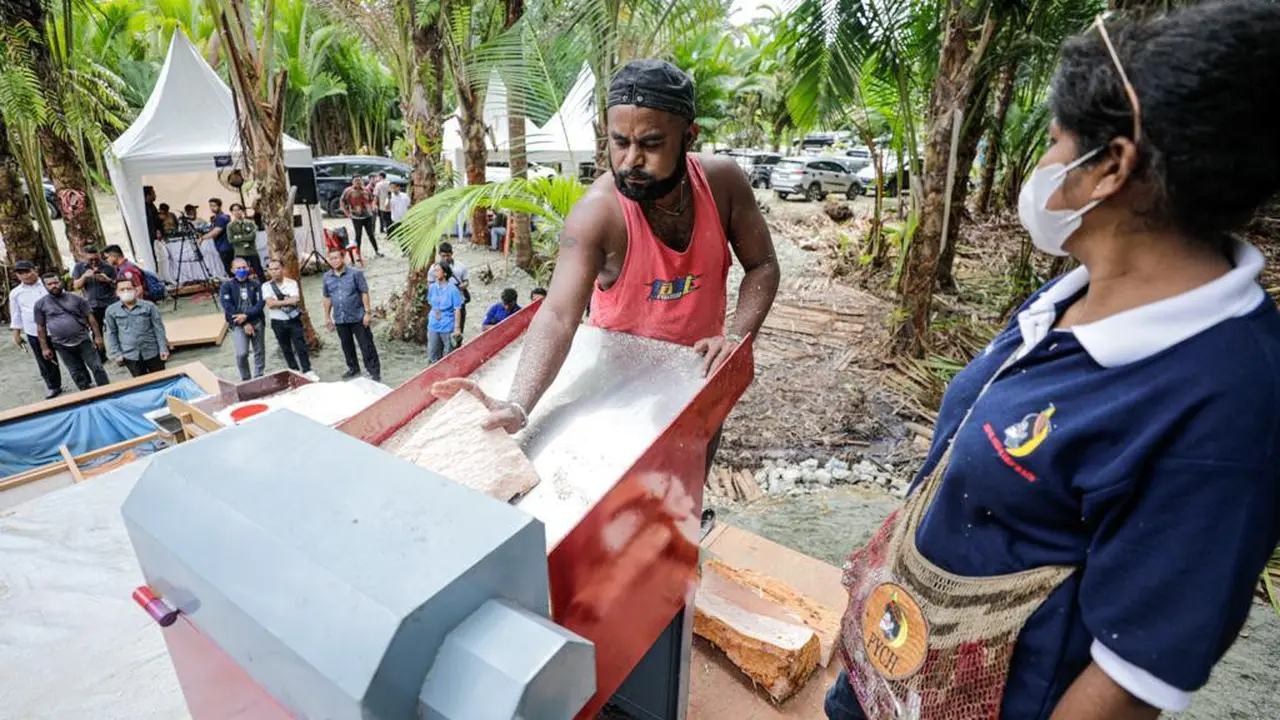 Anak-anak muda yang tergabung dalam Papua Youth Creative Hub (PYCH) menghadirkan mesin pengolah sagu bagi petani tebu di lahan sagu Kampung Asei Kecil, Distrik Sentani Timur, Kabupaten Jayapura, Papua (Istimewa)
