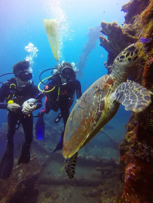 (Instagram/nadinelist)