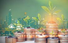 Patut Dicoba! Ini Pilihan Investasi yang Tetap Untung Meski Rupiah Anjlok Pasca Serangan Iran ke Israel