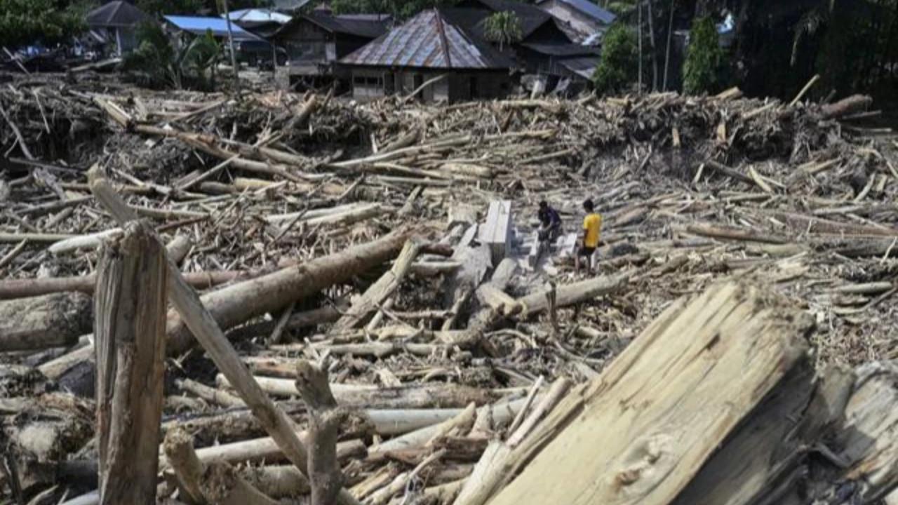 Cerita di Balik Viral Warganet Patungan Beli Hutan: Ekspresi Kekecewaan Masyarakat, Pemerintah Telah Gagal