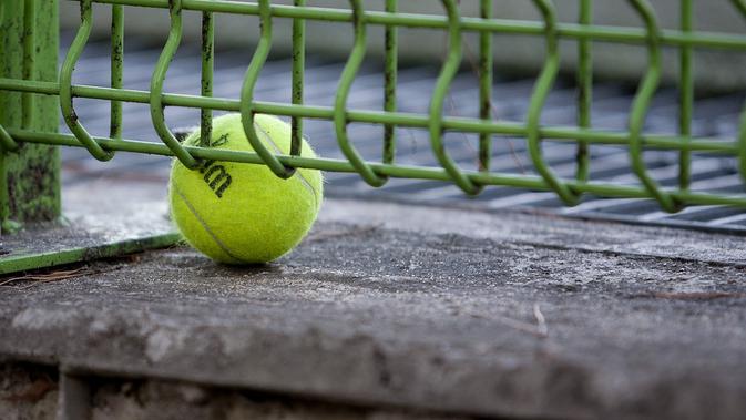 (Foto: Pixabay) Ilustrasi bola tenis.