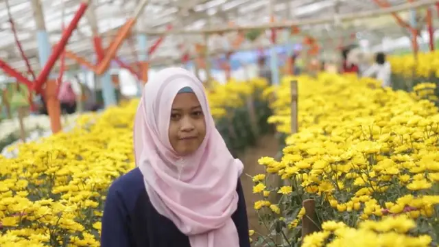 Aster Kuning dan Juru Sembuh