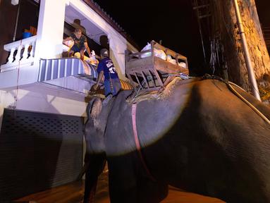 Seekor gajah menyeberangi banjir untuk membantu membawa pasokan bantuan kepada penduduk desa di Provinsi Chiang Mai, Thailand, Minggu, 6 Oktober 2024. (AP Photo/Wason Wanichakorn)