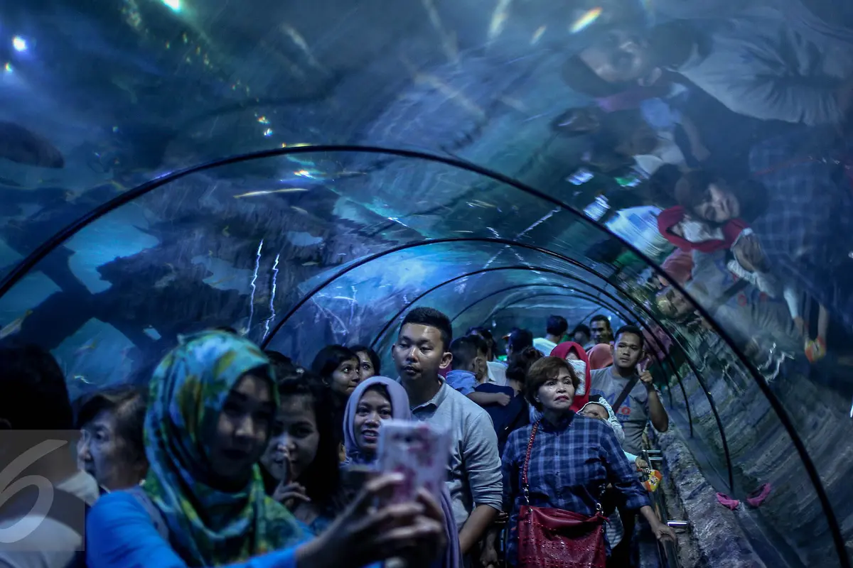 20161225-Libur-Natal-Jakarta-Sea-World-FF