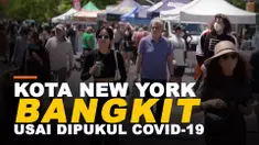 new york bangkit