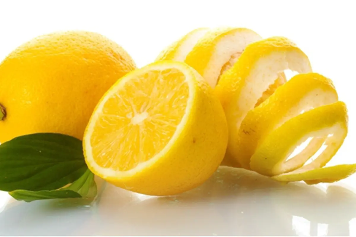 Foto: copyright shutterstock.com
